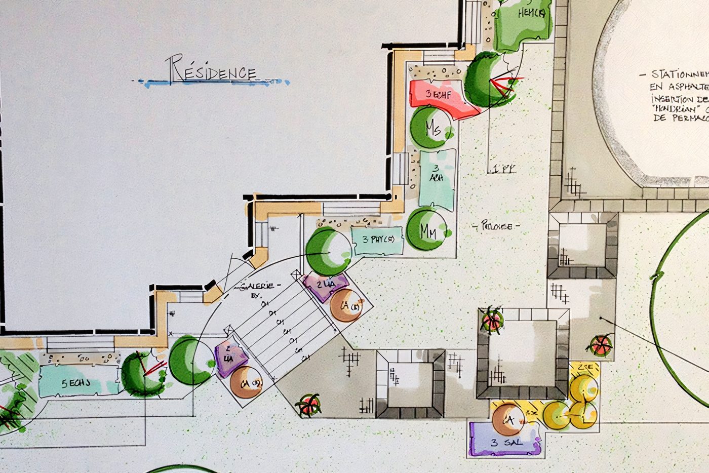 Plan de présentation en couleur : allée, terrasse, plates-bandes et arbres dessinés à la main, avec les cotes