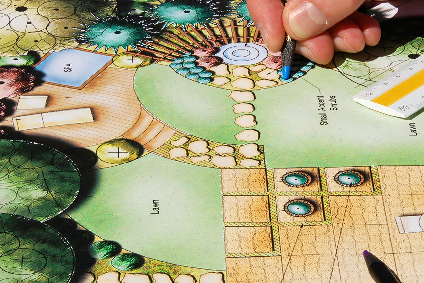 Une main pointe un détail sur un plan de plantation en couleur
